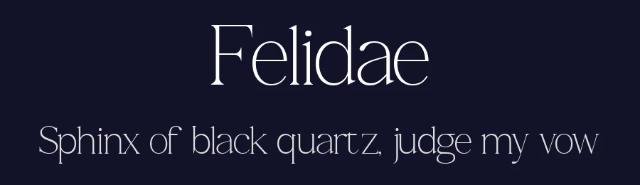 Felidae — Serif Font — thumbnail 2