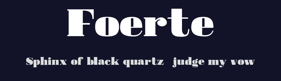 Foerte — Serif Font — thumbnail 2