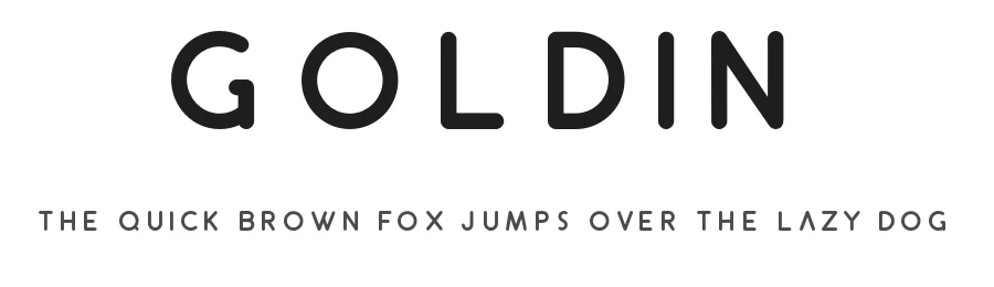Goldin by Fabian Korn โ Display Font