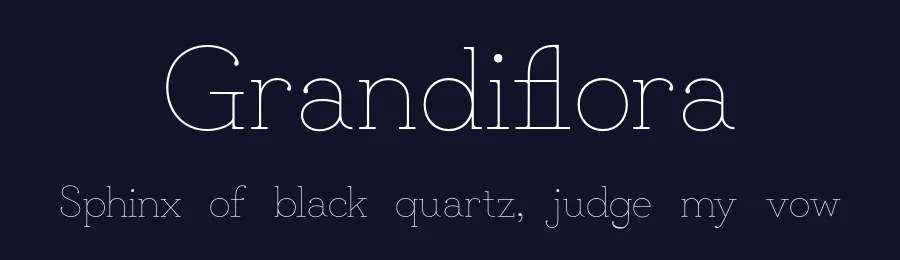 Grandiflora by Haesung Cho — Serif Font — thumbnail 2