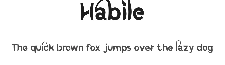 Habile by NDNL Studio — Sans Serif Font