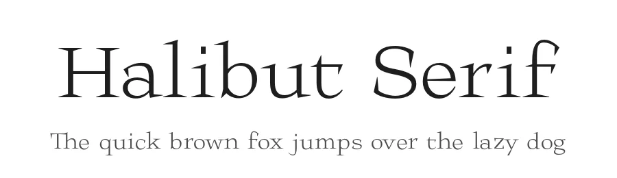 Halibut Serif by Matteo Maggi — Serif Font