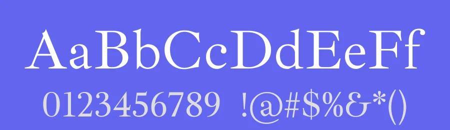Ibarra Real by Jose Maria Ribagorda & Octavio Pardo — Serif Font — thumbnail 3