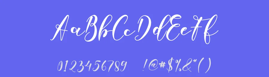 Laudiea Script by Nisa Nana — Script Handwritten Font — thumbnail 3