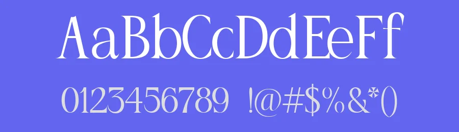 LC Sac — Serif Font — thumbnail 3