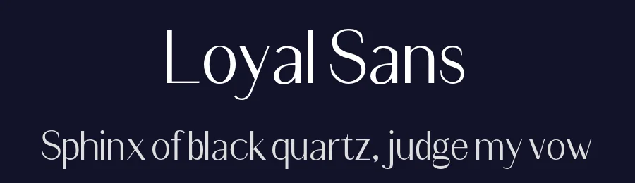 Loyal Sans — Sans Serif Font — thumbnail 2