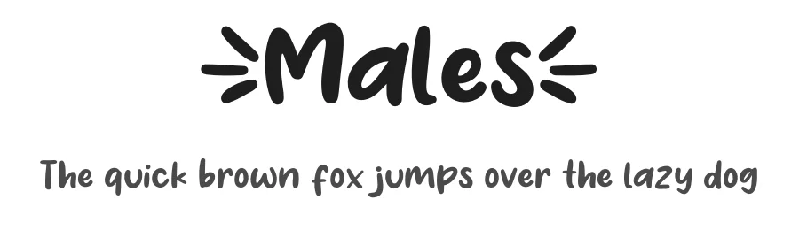 Males by Khurasan — Script Handwritten Font