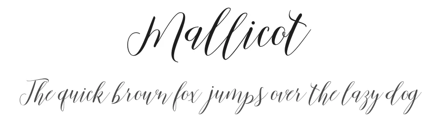 Mallicot by Area Type — Script Handwritten Font