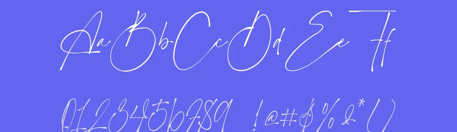 Manhattan Signature — Script Handwritten Font — thumbnail 3