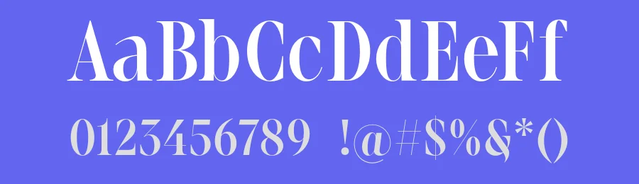 Meshed Display by Rajesh Rajput — Serif Font — thumbnail 3