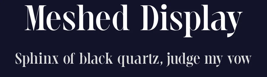 Meshed Display by Rajesh Rajput — Serif Font — thumbnail 2