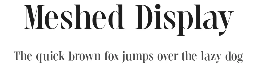 Meshed Display by Rajesh Rajput — Serif Font