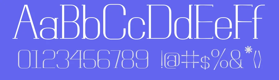 Neue Protest by Shanhar Morales — Serif Font — thumbnail 3