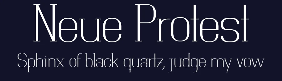 Neue Protest by Shanhar Morales — Serif Font — thumbnail 2