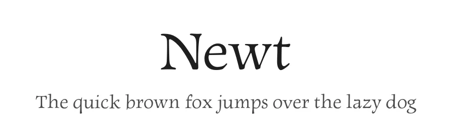 Newt by Nathanael Bonnell — Serif Font