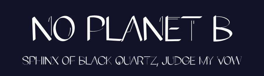 No Planet B — Display Font — thumbnail 2