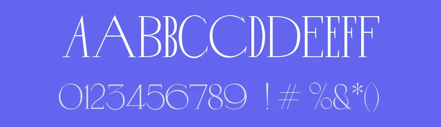 Novelist by Alena Krachkovskaya — Serif Font — thumbnail 3