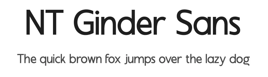 NT Ginder Sans by Neo Type — Sans Serif Font