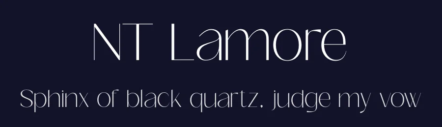 NT Lamore by NeoType — Sans Serif Font — thumbnail 2