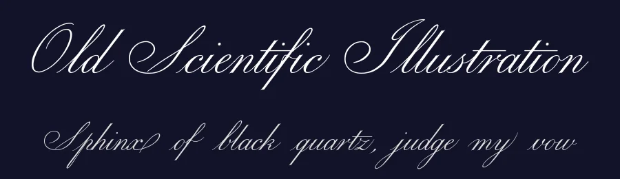 Old Scientific Illustration — Script Handwritten Font — thumbnail 2