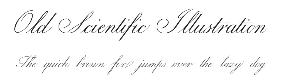 Old Scientific Illustration — Script Handwritten Font