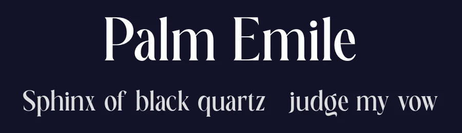 Palm Emile by Neo Type — Serif Font — thumbnail 2