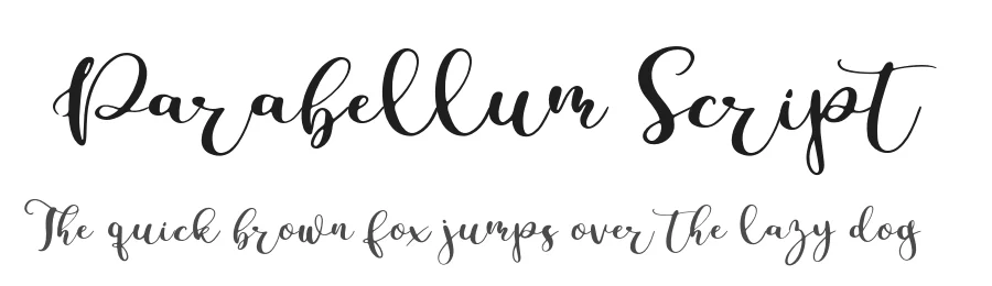 Parabellum Script by besttypeco — Script Handwritten Font