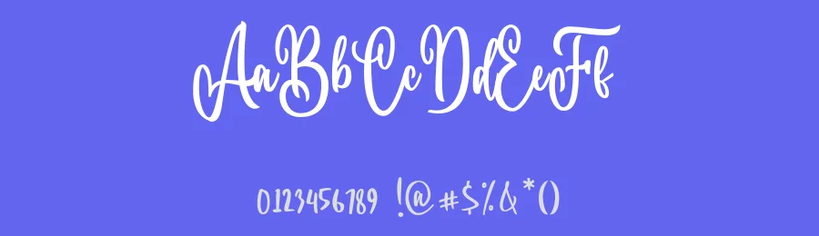 Pletty Book — Script Handwritten Font — thumbnail 3