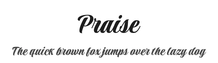 Praise by Robert E. Leuschke — Script Handwritten Font