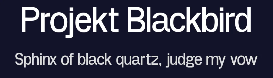 Projekt Blackbird — Sans Serif Font — thumbnail 2