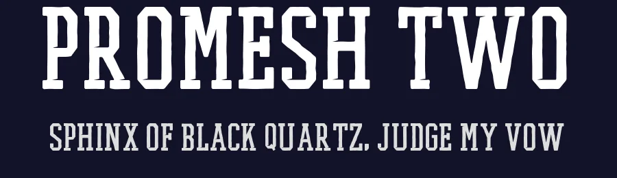 Promesh Two by Paul Reis — Display Font — thumbnail 2