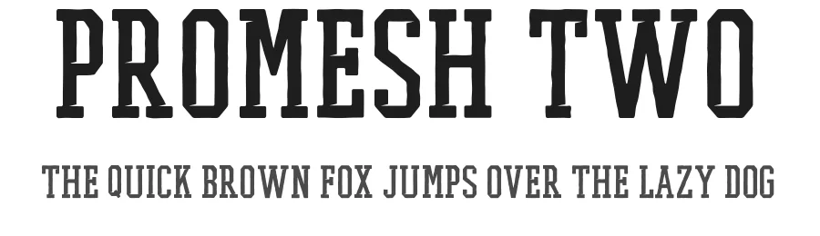 Promesh Two by Paul Reis โ Display Font