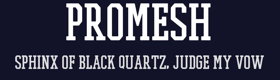 Promesh by Paul Reis — Display Font — thumbnail 2