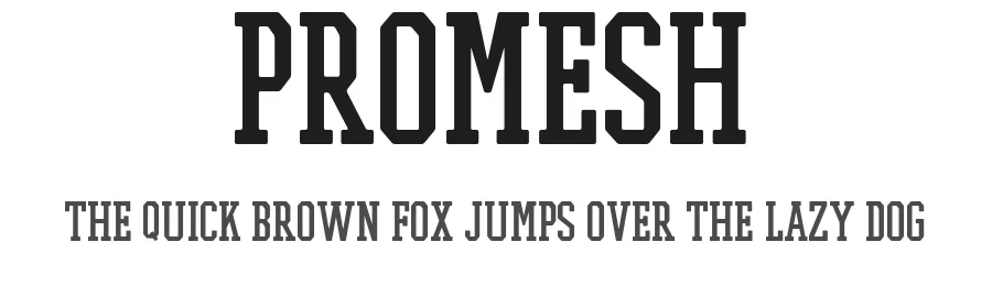 Promesh by Paul Reis โ Display Font