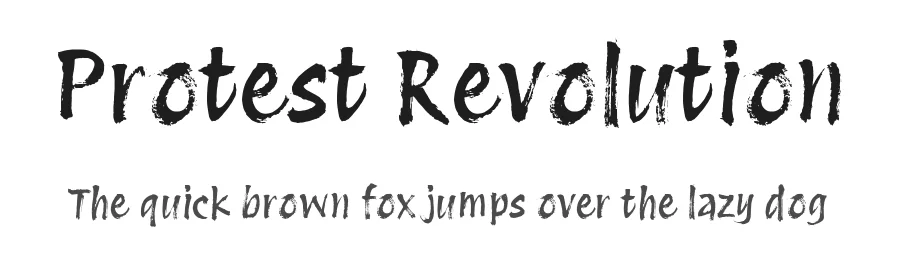 Protest Revolution by Octavio Pardo — Script Handwritten Font