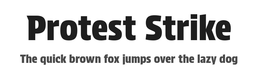 Protest Strike by Octavio Pardo — Sans Serif Font