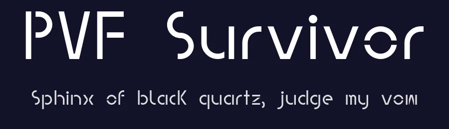 PVF Survivor — Sans Serif Font — thumbnail 2