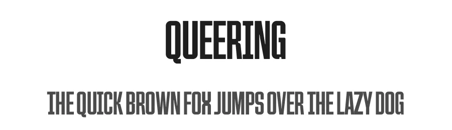 Queering by Adam Naccarato — Sans Serif Font