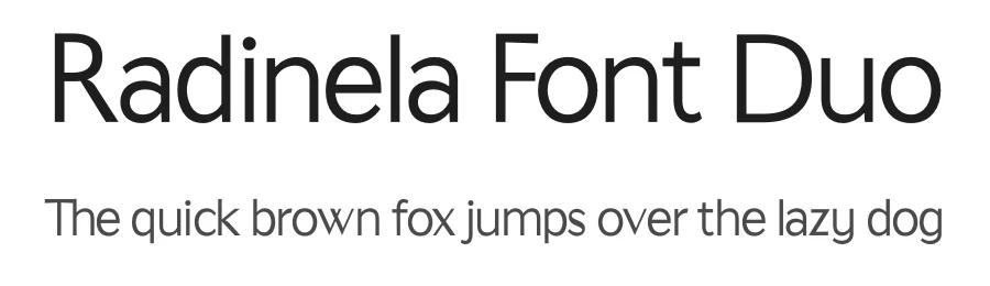 Radinela Font Duo by Akbartype — Script Handwritten Font
