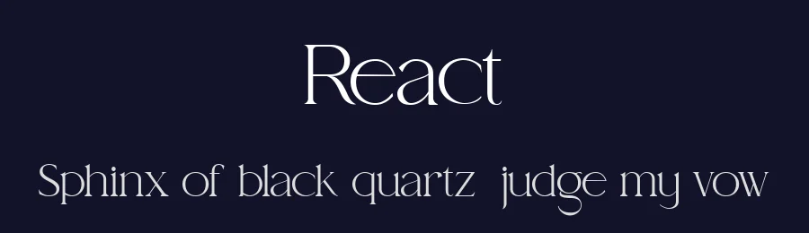 React by Akhmad Husain Rifa'i — Serif Font — thumbnail 2