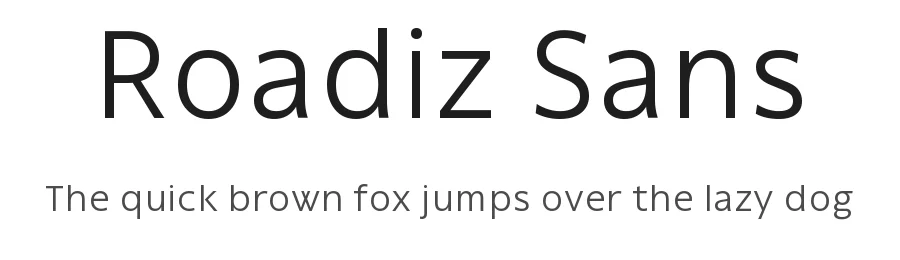 Roadiz Sans by Matthieu Cortat — Sans Serif Font