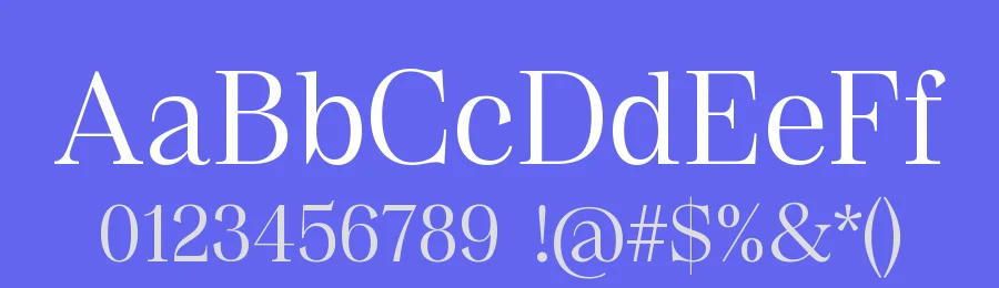 Roraima by panda — Serif Font — thumbnail 3