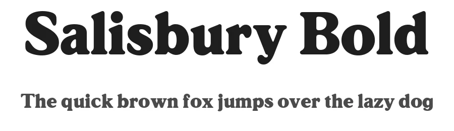 Salisbury Bold — Serif Font