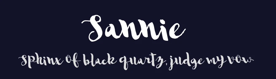 Sannie by Gtype Studio — Script Handwritten Font — thumbnail 2