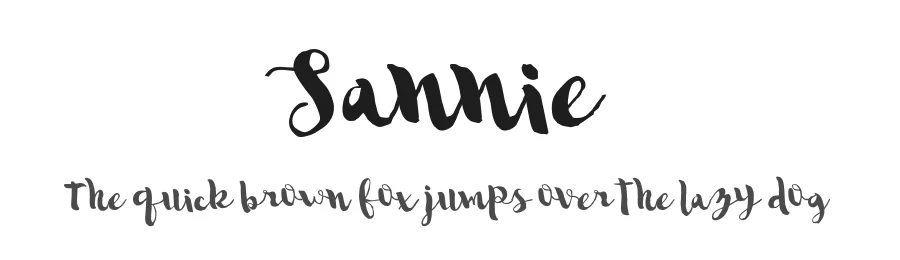 Sannie by Gtype Studio — Script Handwritten Font