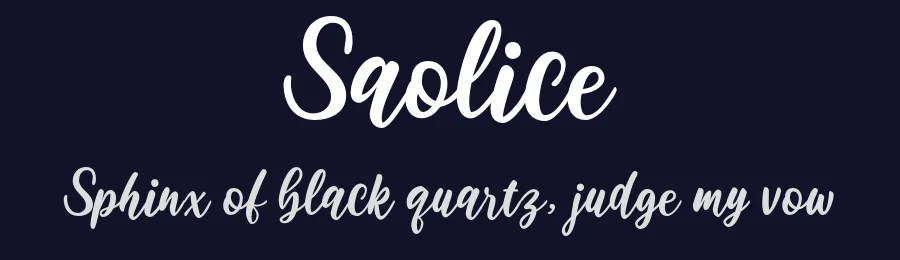 Saolice by Ali Hamidi — Script Handwritten Font — thumbnail 2