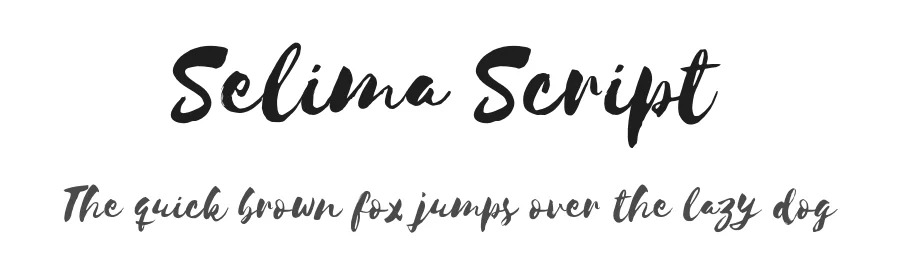 Selima Script by @zamroni_agus β Script Handwritten Font