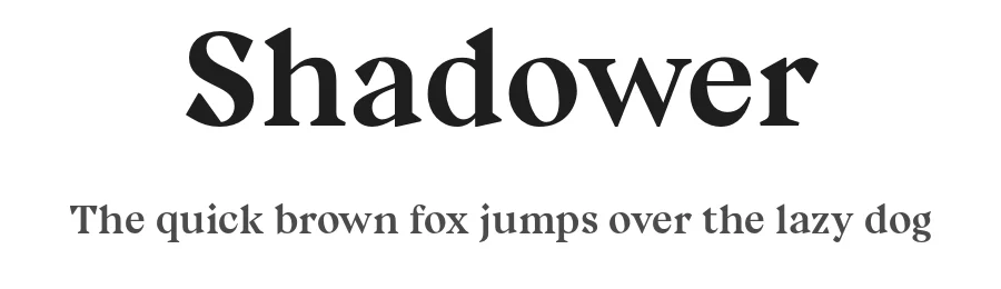 Shadower by Igor Stepanchenko — Serif Font