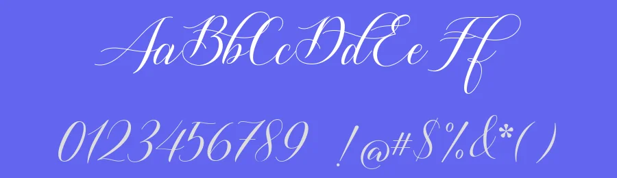 Shutterday by Nofi Sofyan Hadi — Script Handwritten Font — thumbnail 3