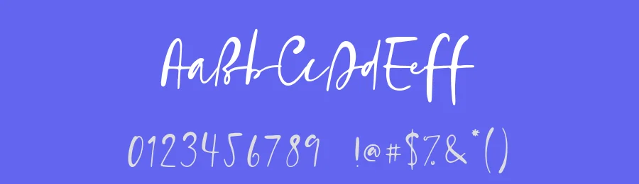 Socham Script by DmitriyChirkov — Script Handwritten Font — thumbnail 3